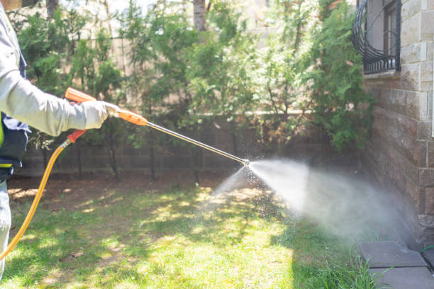 Best Local Pest Control Services  in Sullivan City, TX